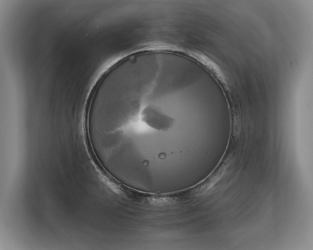 X0000110321231200905281626