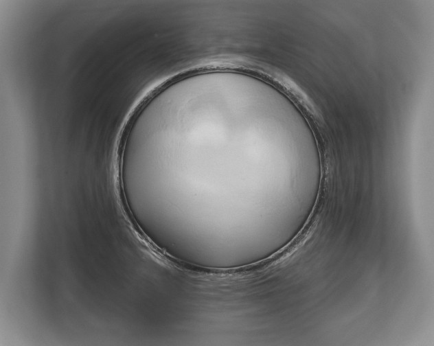 X0000110321232200905281626