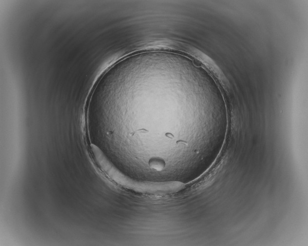 X0000110321234200905281626