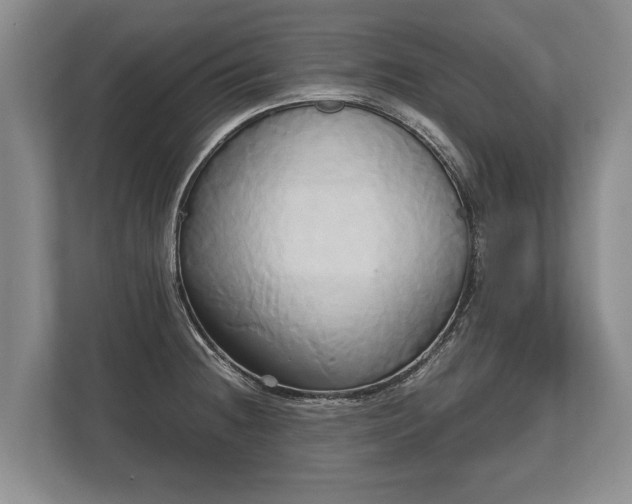 X0000110321236200905281626