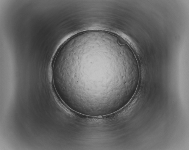 X0000110321238200905281626