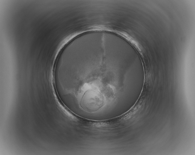 X0000110321239200905281626