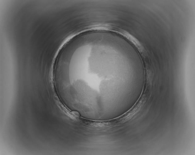 X0000110321240200905281626