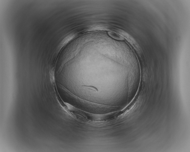 X0000110321241200905281626