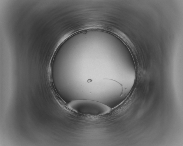 X0000110321242200905281626