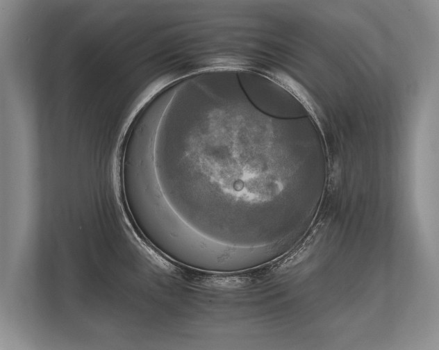 X0000110321243200905281626