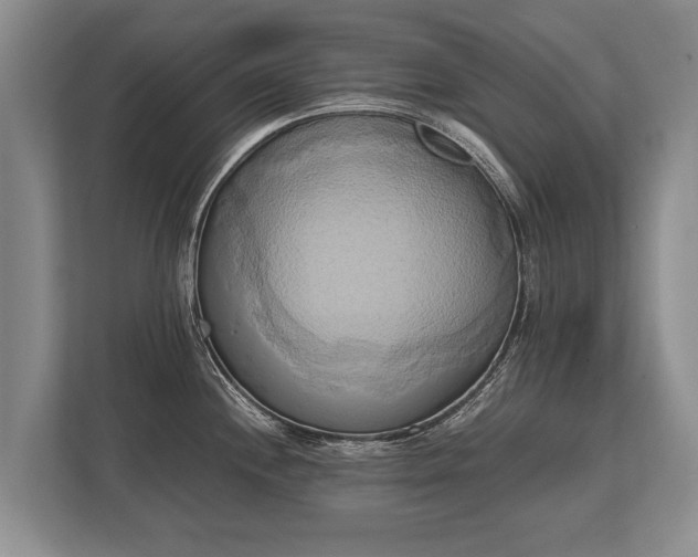 X0000110321244200905281626