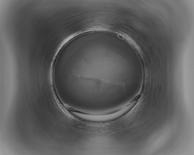 X0000110321246200905281626