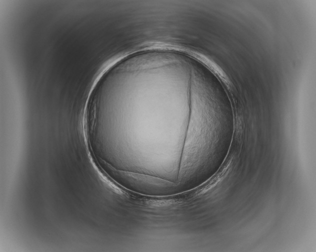 X0000110321247200905281626