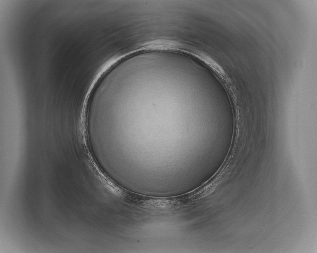 X0000110321248200905281626