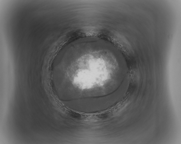 X0000110321249200905281625