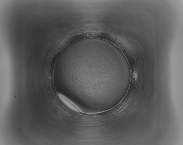 X0000110321252200905281625