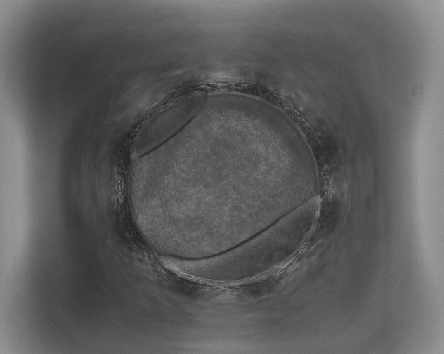 X0000110321253200905281625