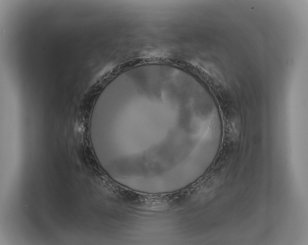 X0000110321254200905281625