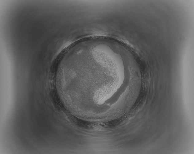 X0000110321255200905281625