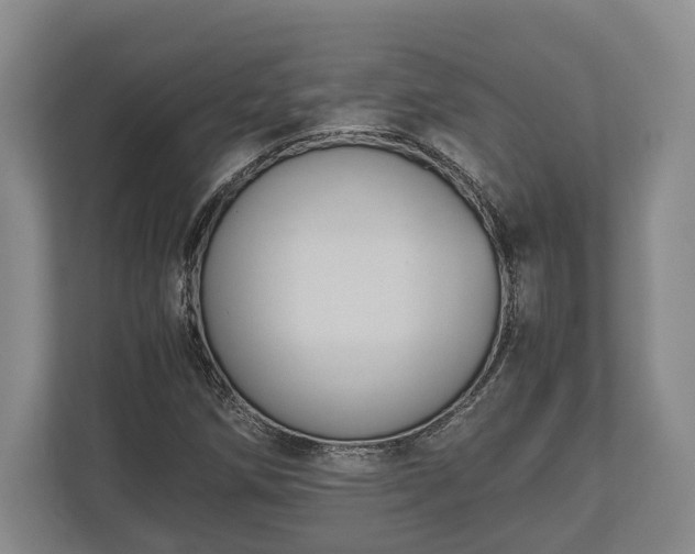 X0000110321258200905281625