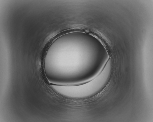 X0000110321261200905281625