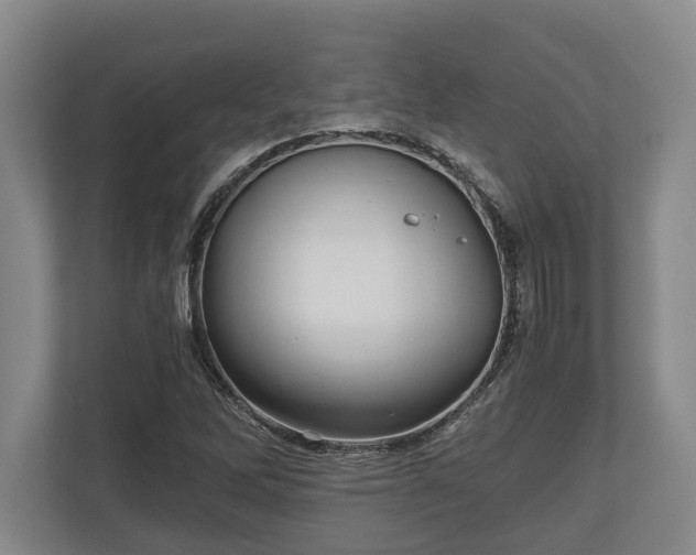 X0000110321262200905281625