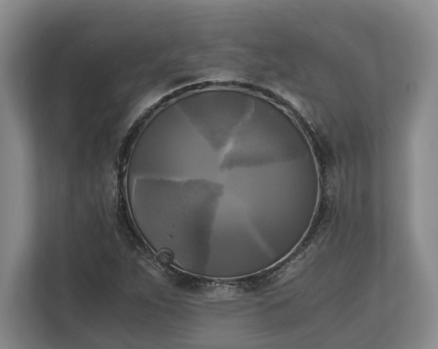 X0000110321263200905281625