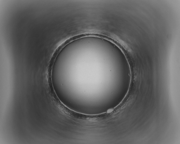 X0000110321264200905281625