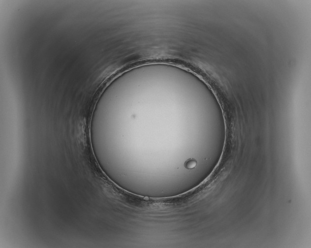 X0000110321265200905281625