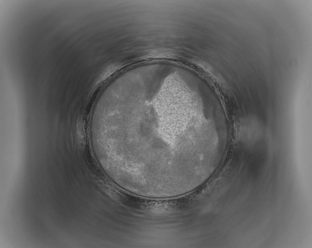 X0000110321266200905281625