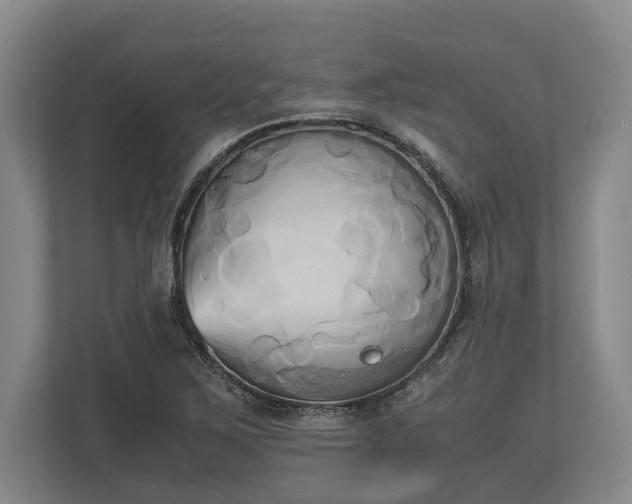 X0000110321267200905281625