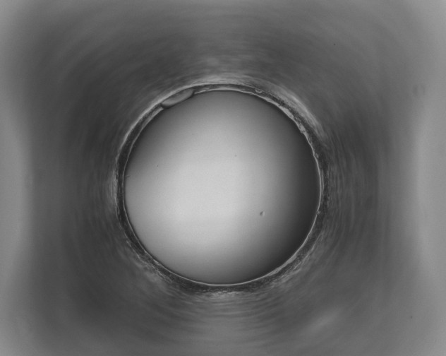 X0000110321268200905281625