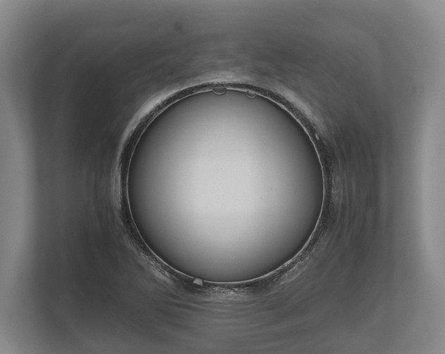 X0000110321270200905281625