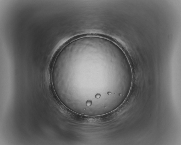 X0000110321271200905281625