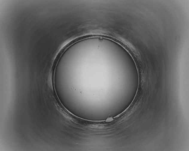 X0000110321272200905281625