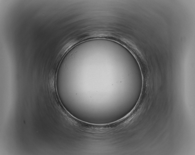 X0000110321273200905281625