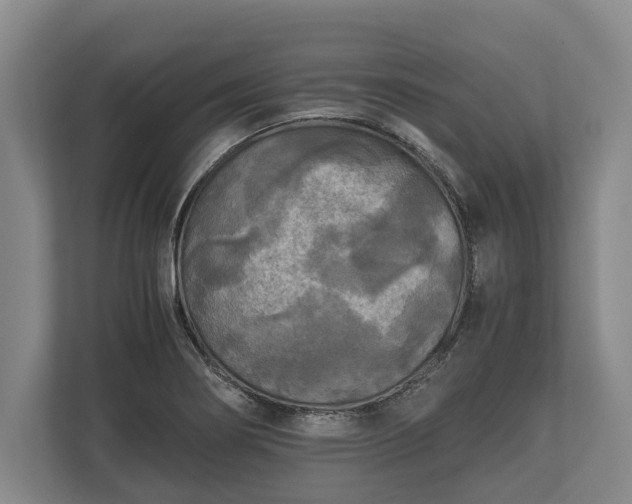 X0000110321274200905281625