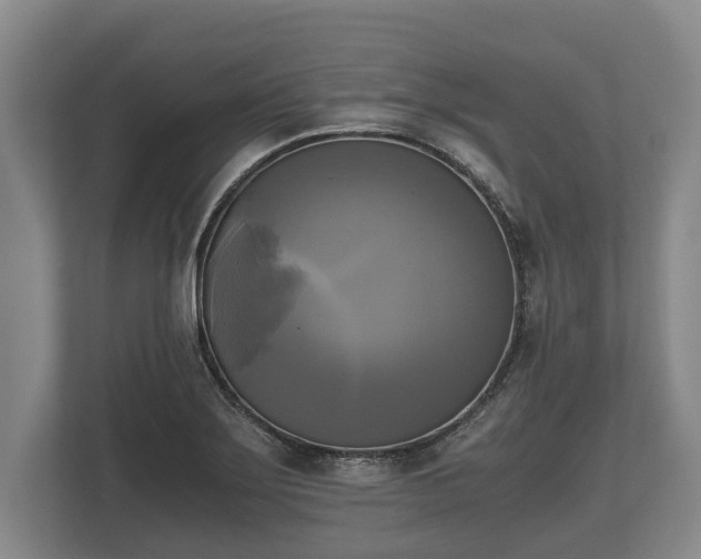 X0000110321275200905281625