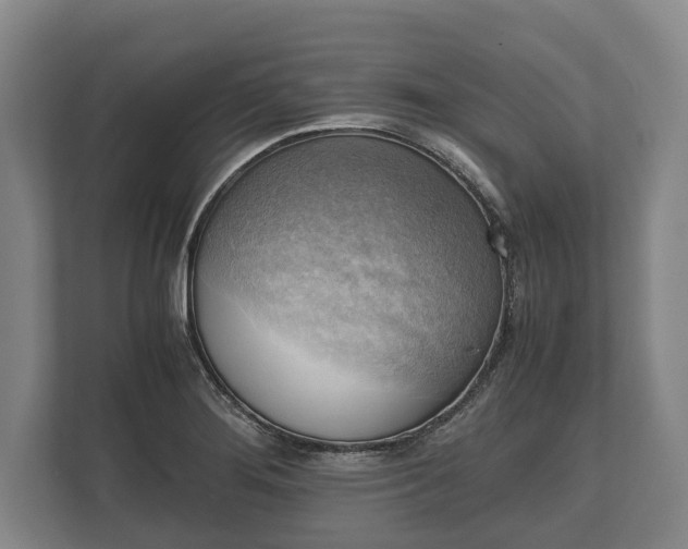 X0000110321276200905281625