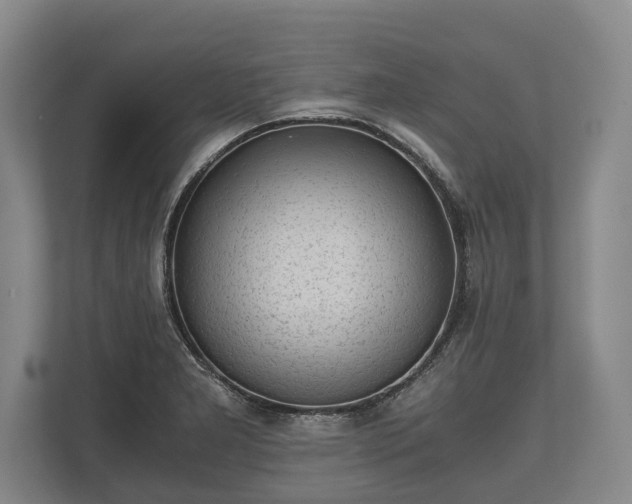 X0000110321277200905281625