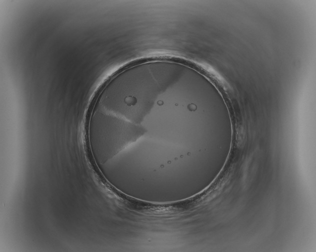 X0000110321279200905281625