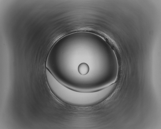 X0000110321281200905281625