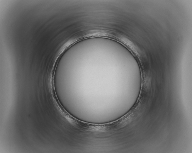 X0000110321282200905281625