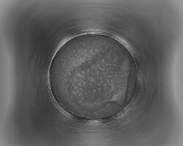 X0000110321283200905281625