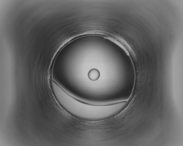 X0000110321284200905281625