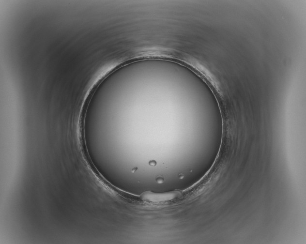 X0000110321285200905281625