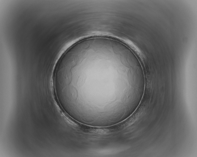 X0000110321287200905281625