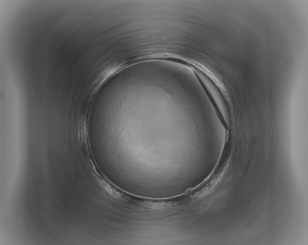 X0000110321289200905281625