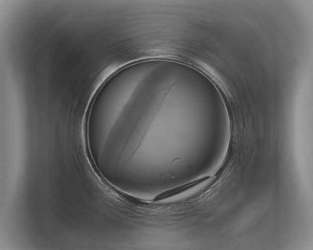 X0000110321291200905281625