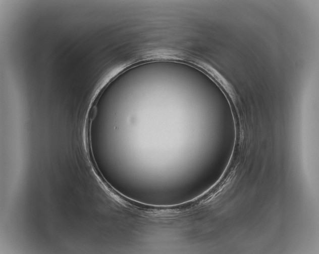 X0000110321293200905281625