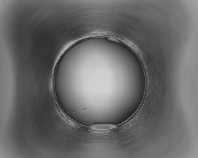 X0000110321296200905281625