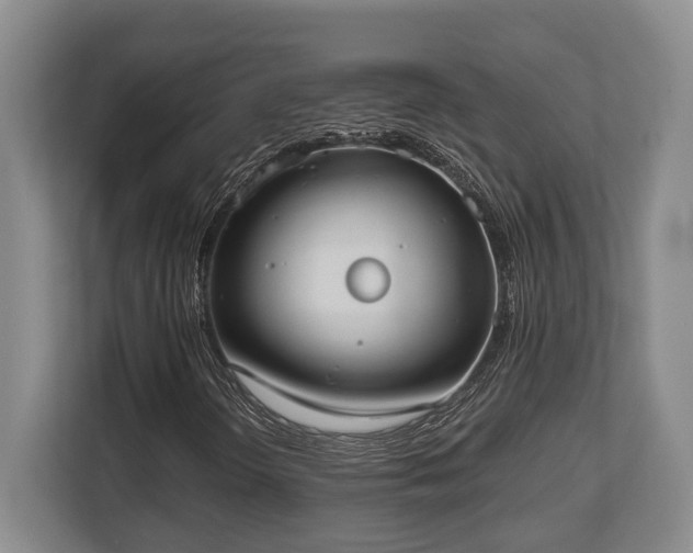 X0000110321298200905281624