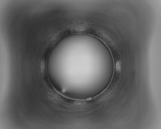 X0000110321299200905281624