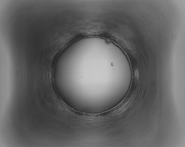 X0000110321300200905281624